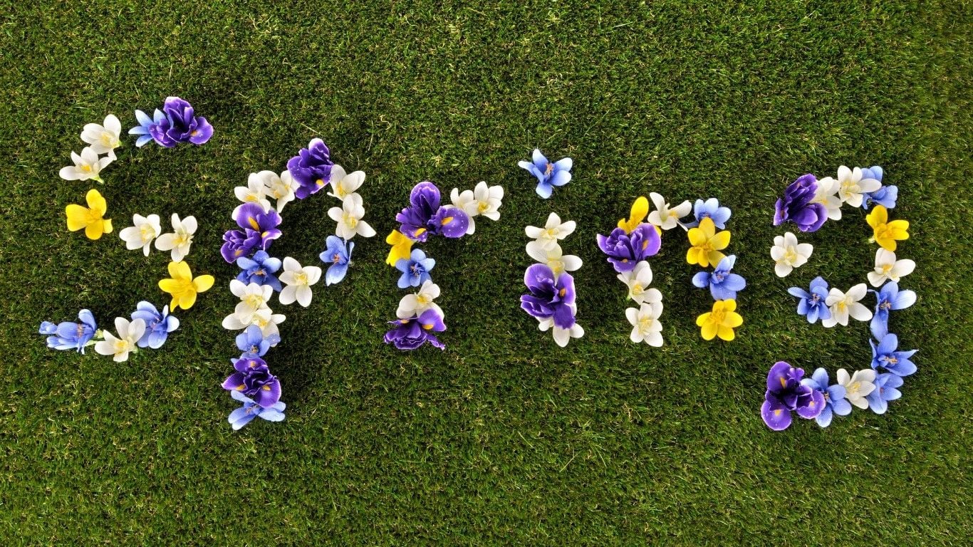 Spring Website & Marketing Refresh: A Guide for Durham Region Businesses