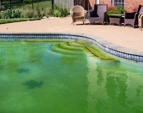 pool is balanced but still green