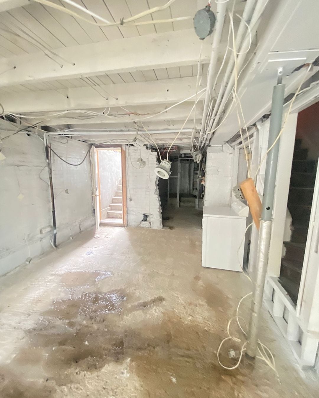 Mold Abatement Image -650c66ddef769