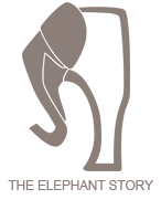 The Elephant Story documentary