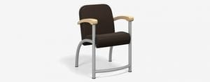 SPE Companion-4231 ME- Hip Chair