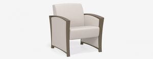 SPE Dignity Mental Health Arm Chair 2