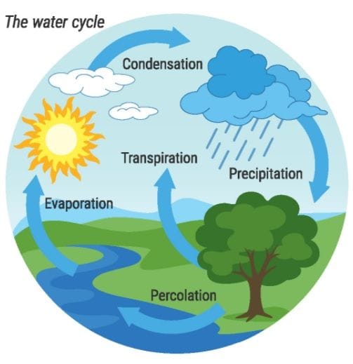 Condensation and the Water Cycle