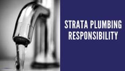 Plumbing Issues in a Strata Scheme