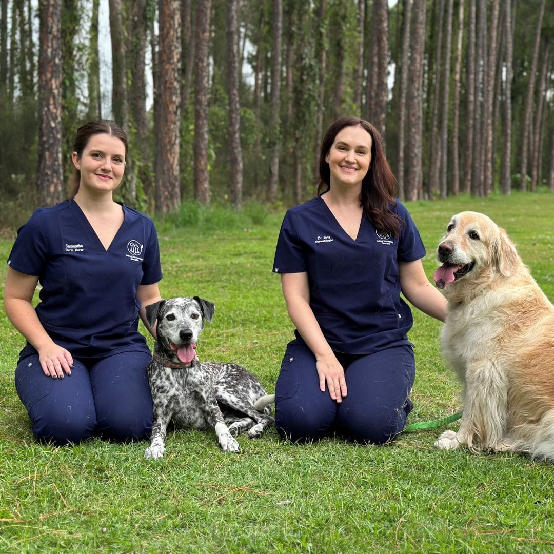 Animal Dermatology Services