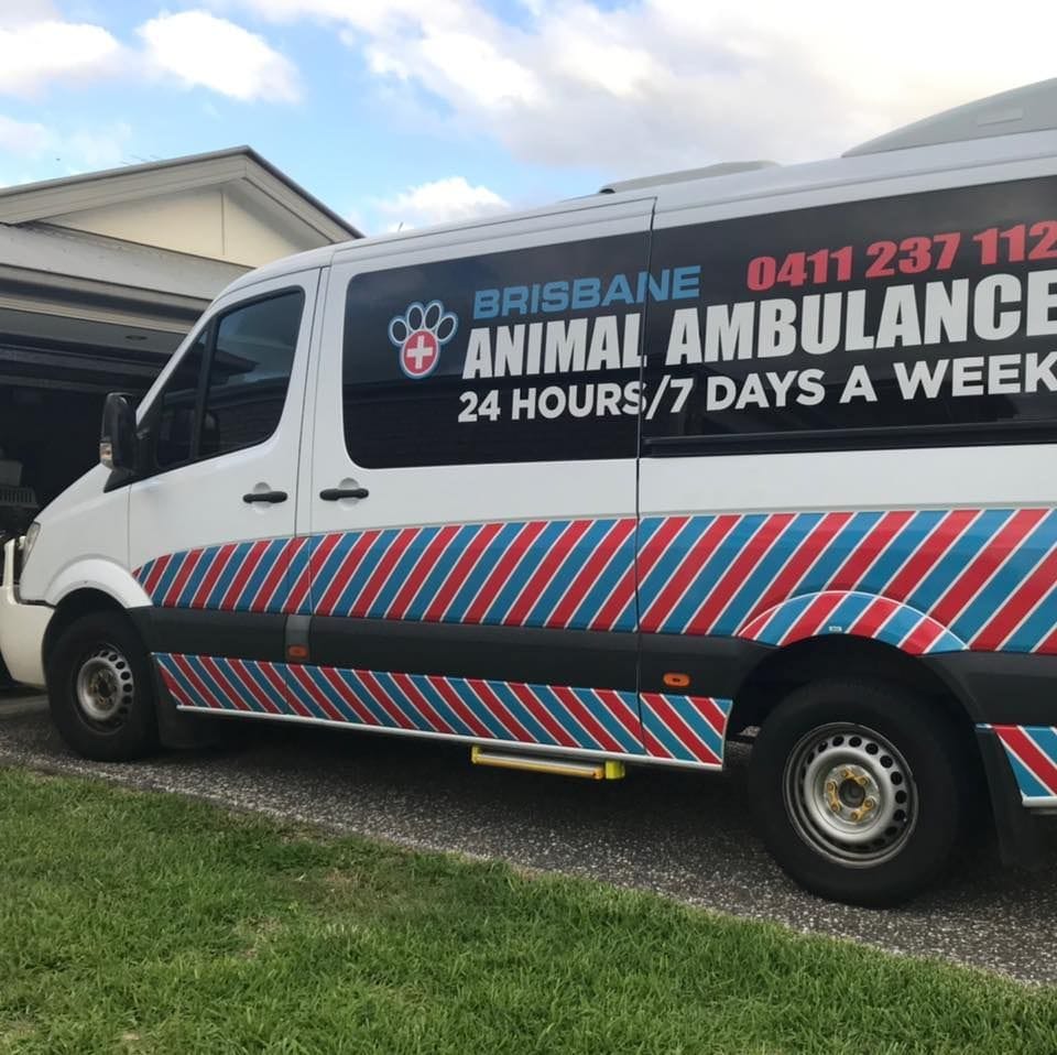 Brisbane Animal Ambulance Fundraiser