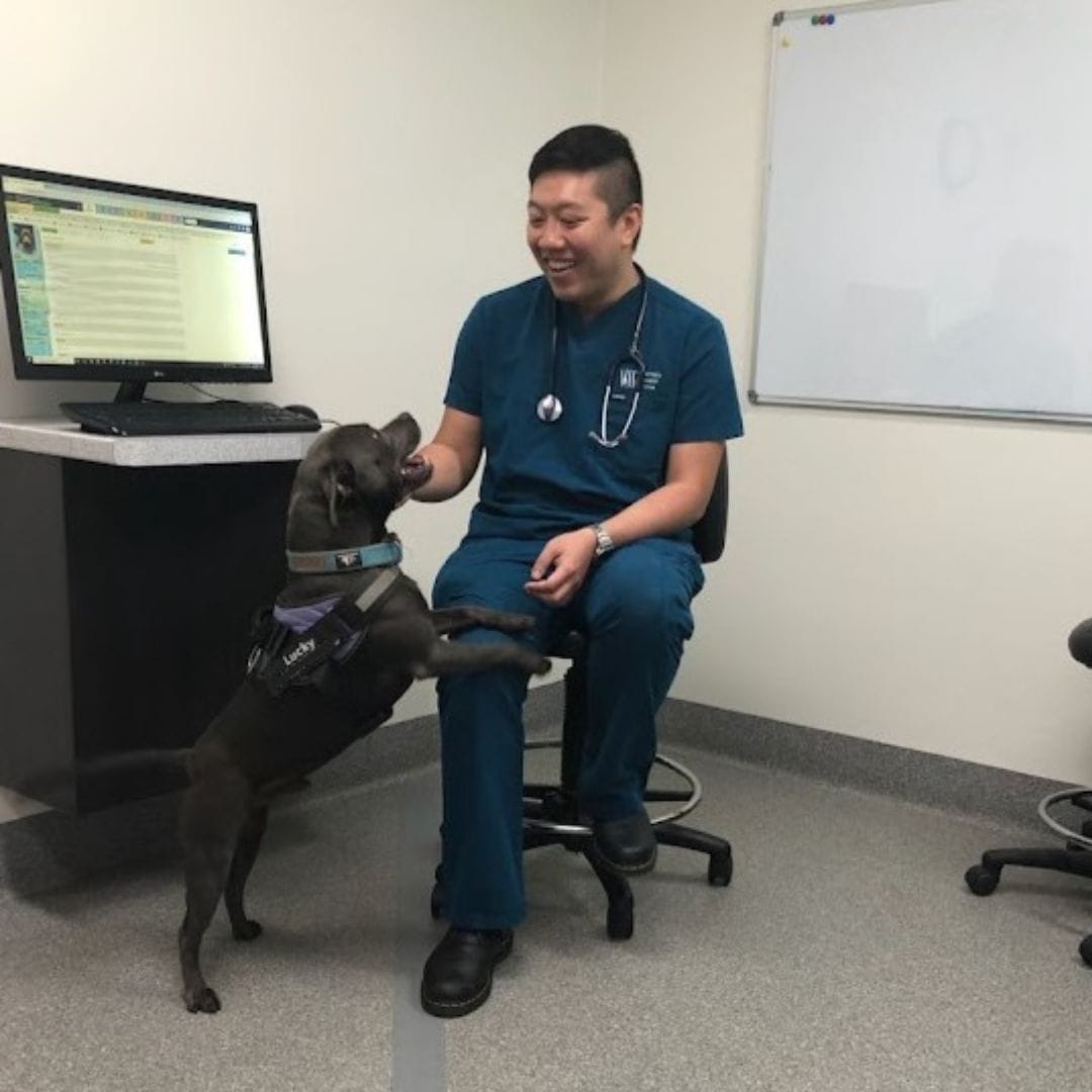 Case Study: Oesophageal Foreign Body Obstruction