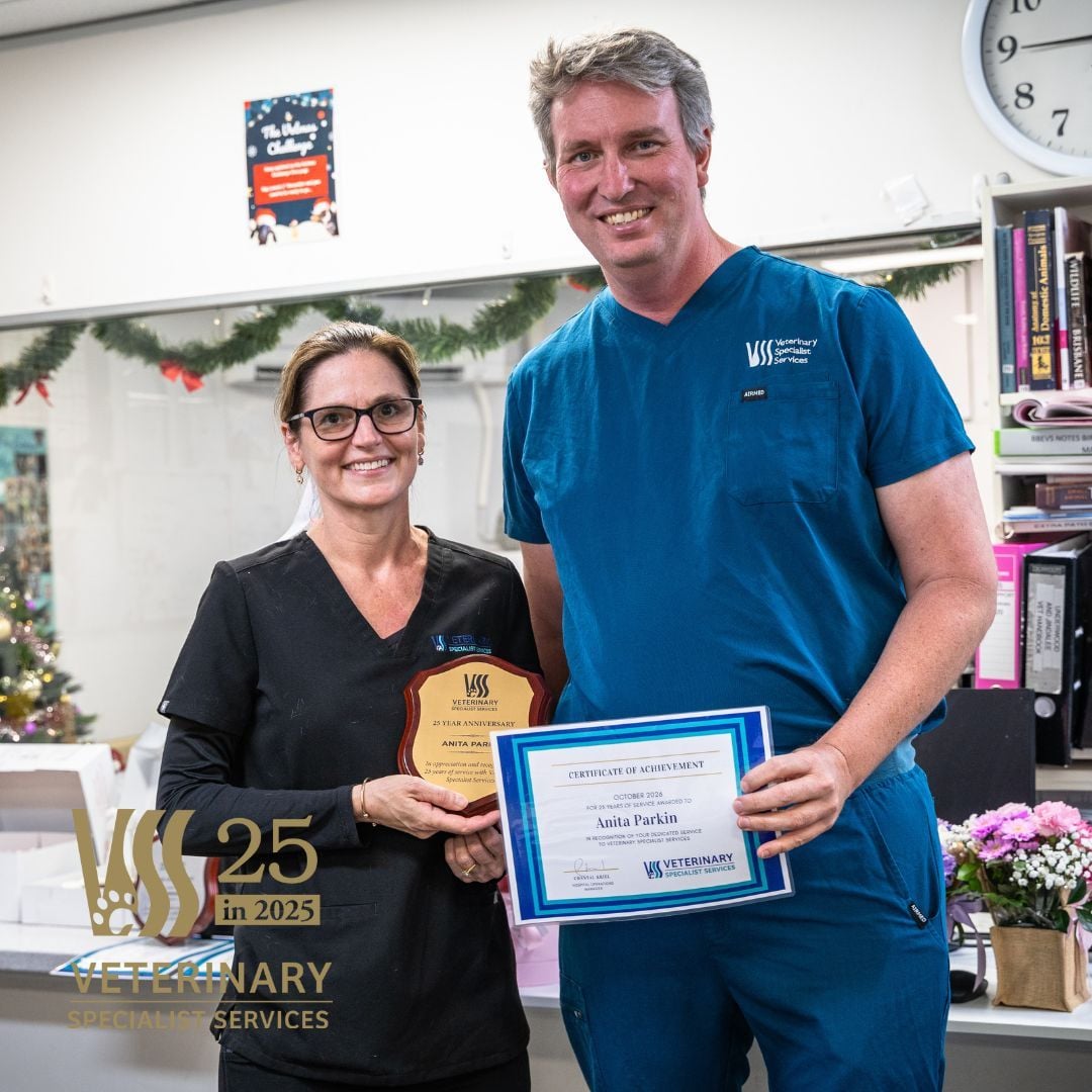 Celebrating 25 Years of Extraordinary Nursing