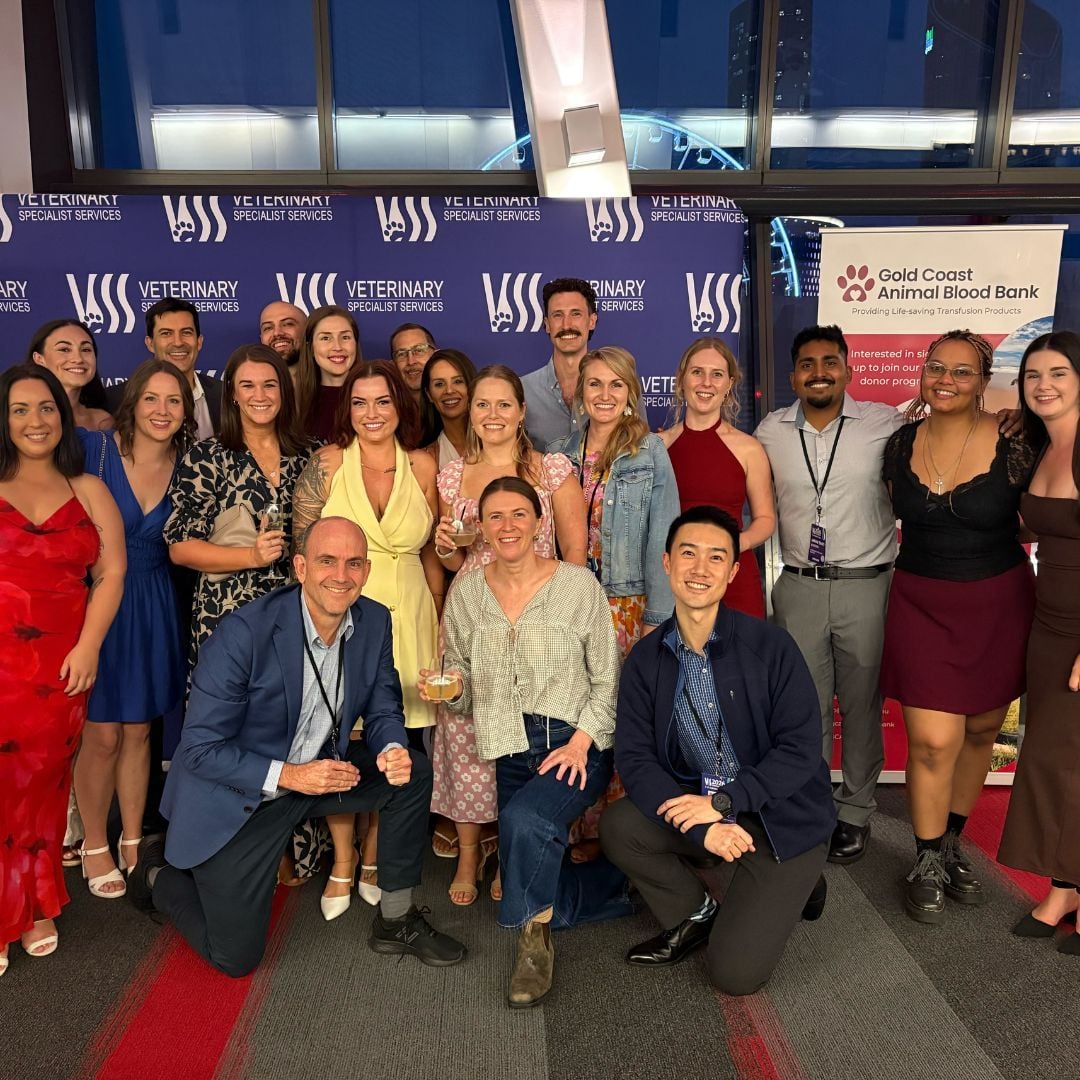 Thank You for Being Part of the 2026 VSS Conference