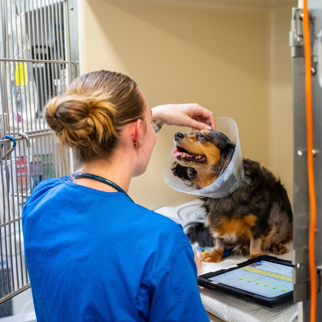 Post-surgery Confinement Done Right (Avoid Common Mistakes)