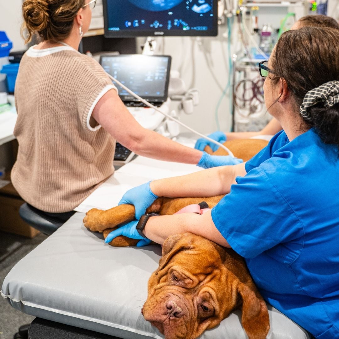 Why Cancer Staging Matters Why Cancer Staging Matters