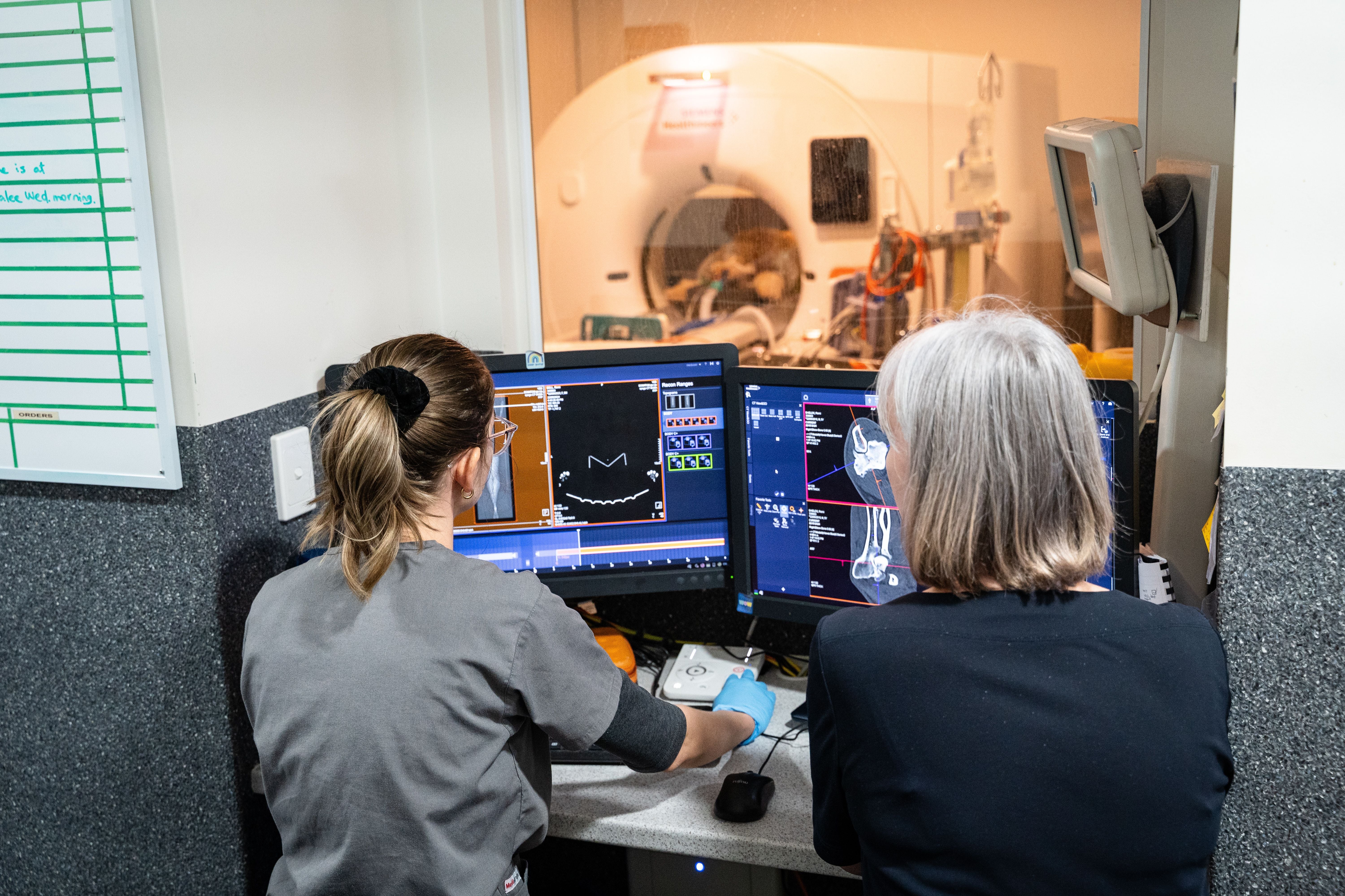 Why Cancer Staging Matters Why Cancer Staging Matters