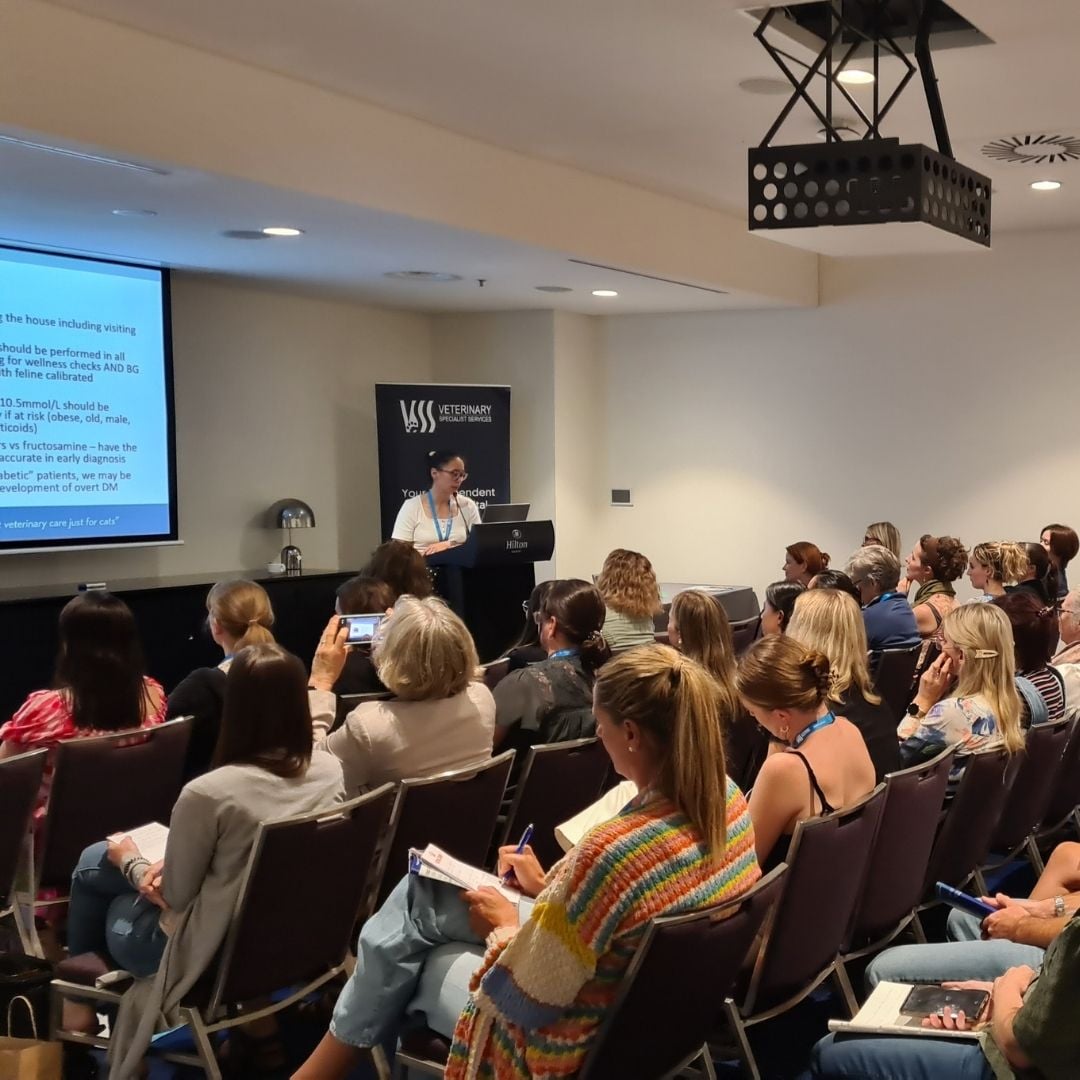 2027 VSS Brisbane Veterinary Conference