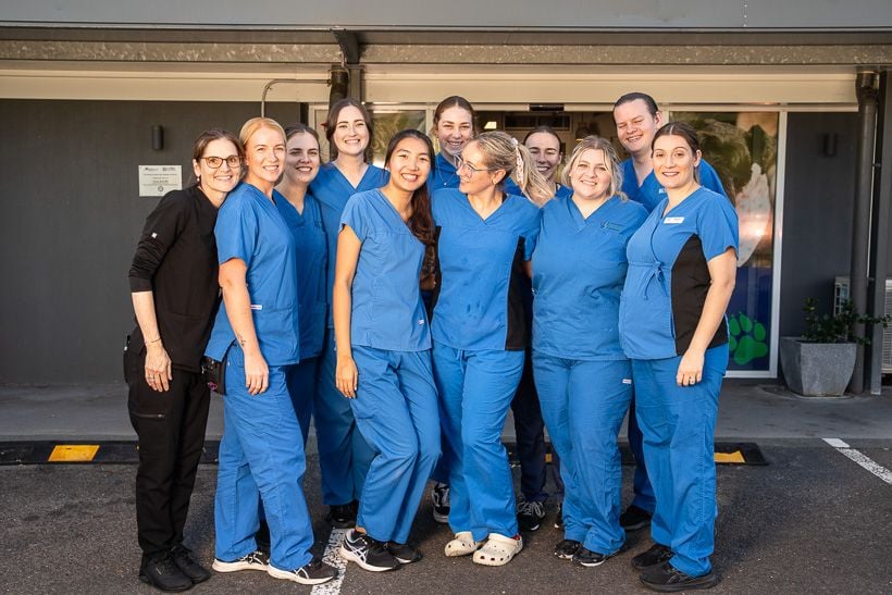 jindalee-veterinary-hospital-vet-team-group-photo