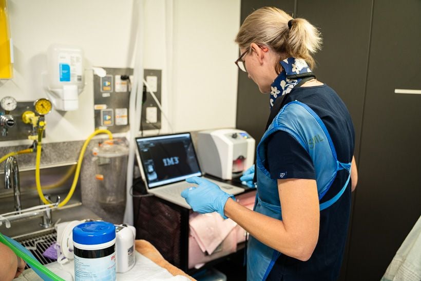 jindalee-veterinary-hospital-veterinary-imaging-equipment