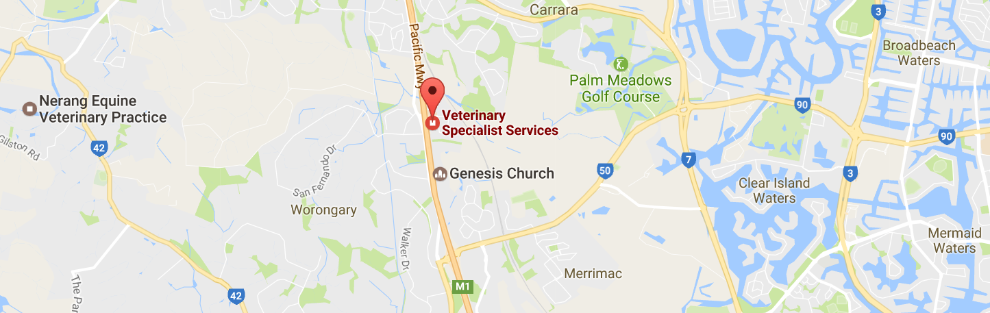 Veterinary specialist referral and emergency hospital Gold Coast Carrara