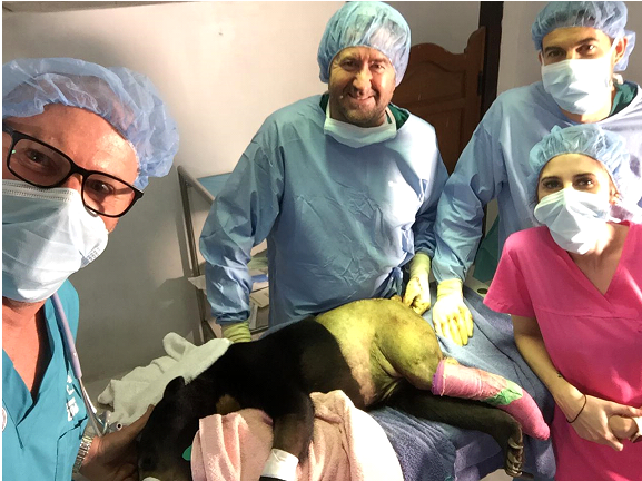 The team at the conclusion of the surgery