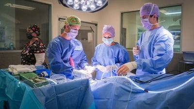 Patient referral journey | Veterinary Specialist Services Patient referral journey | Veterinary Specialist Services