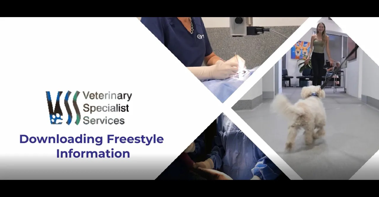Canine Care Videos | Veterinary Specialist Services Blog Canine Care Videos | Veterinary Specialist Services Blog