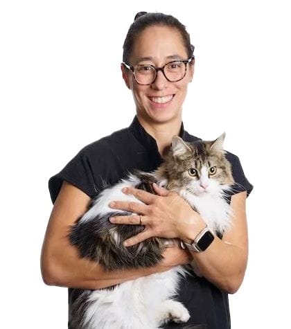 Dr Alison Jukes | Feline Internal Medicine | CSS