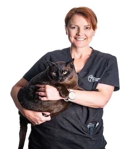 Dr Kristy Stone | Feline Internal Medicine | CSS