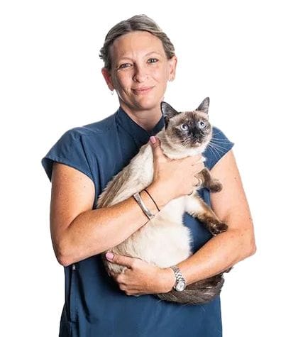 Dr Rachel Korman | Feline Medicine | Veterinary Specialist Services | Cat Vet Brisbane