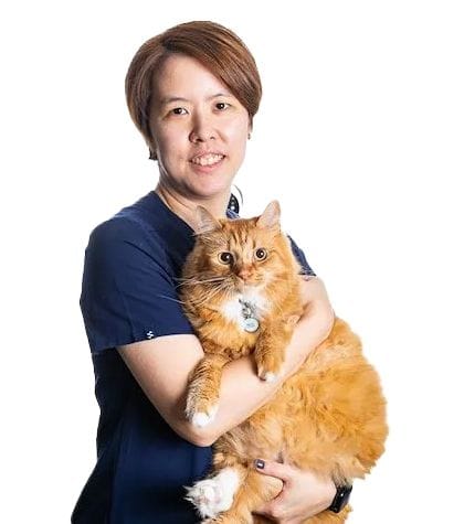 Dr Wan-Ju Jao | Feline Internal Medicine | CSS