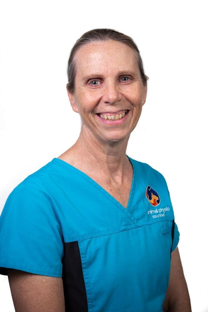 Lindsey Connell | Animal Physiotherapy | Veterinary Specialist Services Lindsey Connell | Animal Physiotherapy | Veterinary Specialist Services