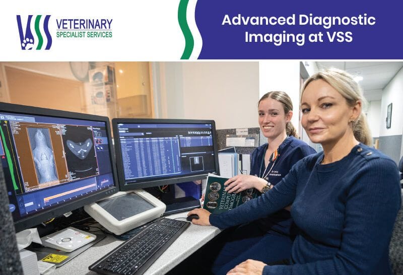 Advanced Diagnostic Imaging at VSS