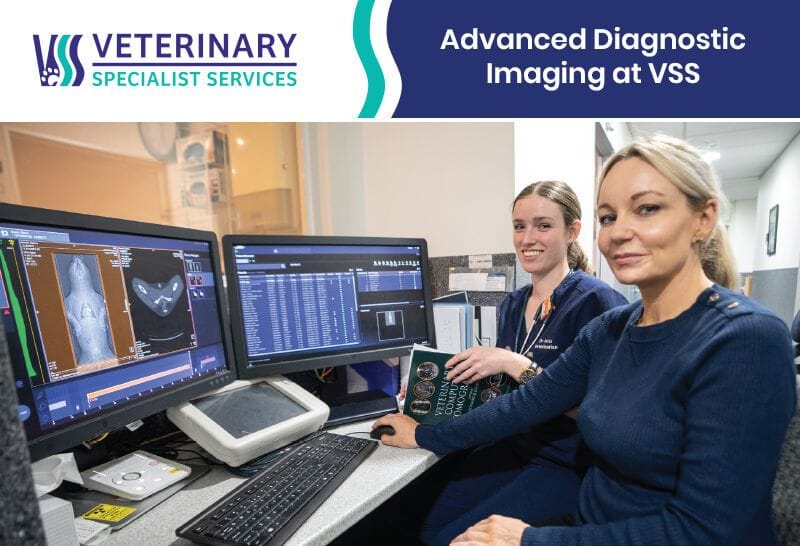 Advanced Diagnostic Imaging at VSS