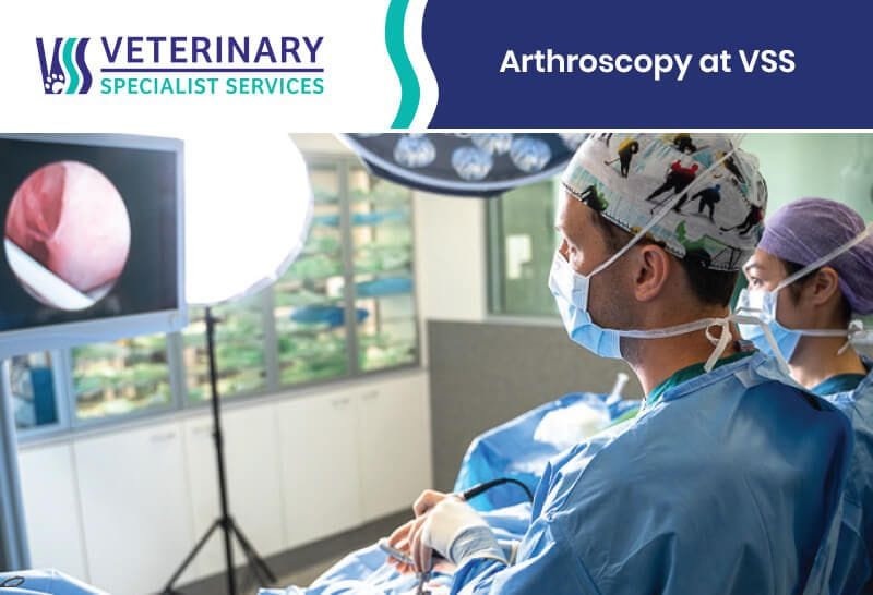 Arthroscopy at VSS