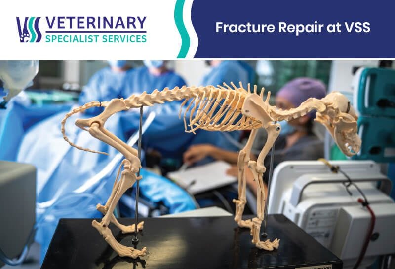 Fracture Repair at VSS