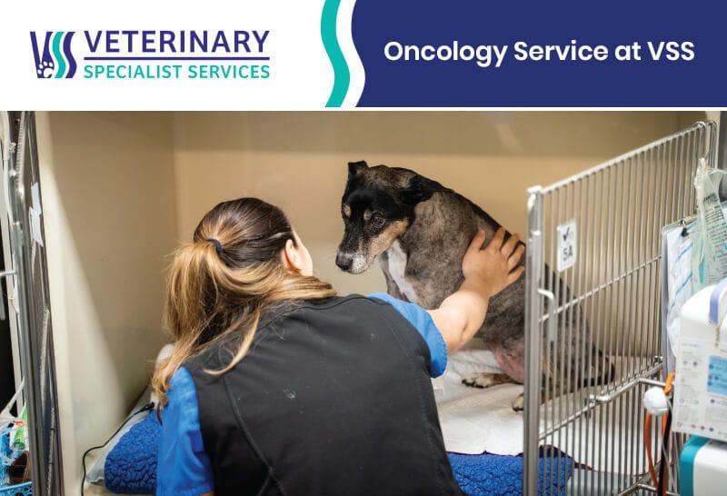 Oncology Service at VSS