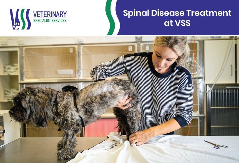 Spinal Disease Treatment at VSS