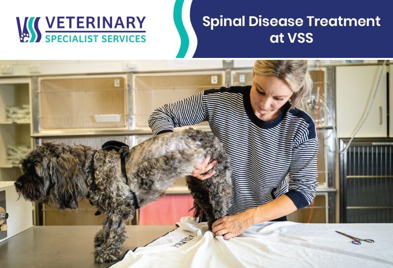 Spinal Disease Treatment at VSS