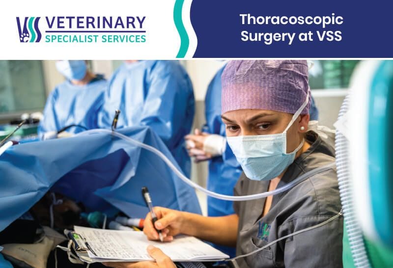 Thoracoscopic Surgery at VSS