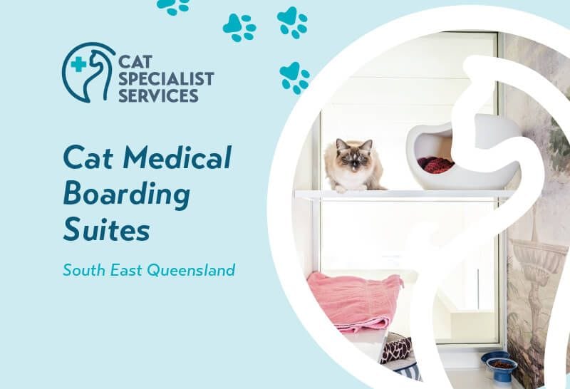 Cat Medical Boarding Suites