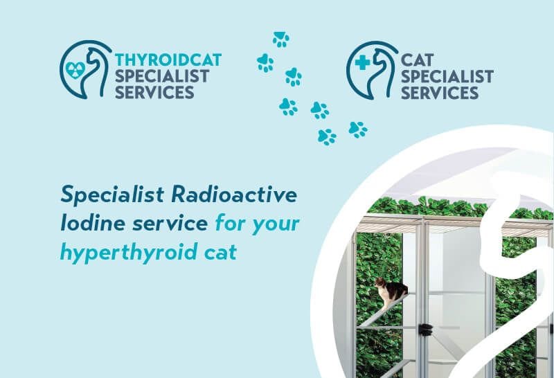 Specialist Radioactive Iodine service for your hyperthyroid cat