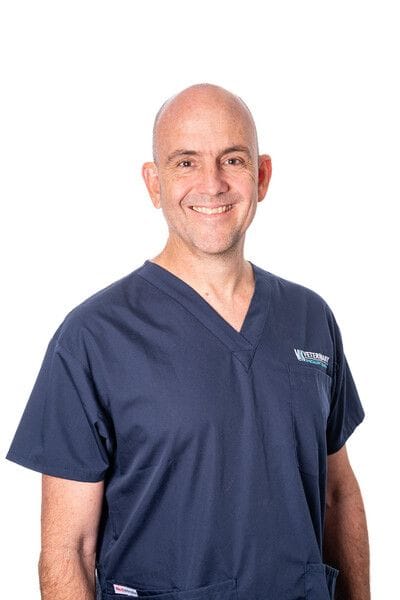 Dr Peter Barron | Specialist Small Animal Internal Medicine | VSS Dr Peter Barron | Specialist Small Animal Internal Medicine | VSS