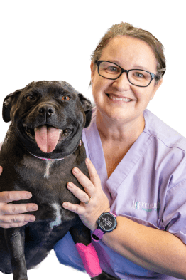 Tia Harris | Veterinary Specialist Services Tia Harris | Veterinary Specialist Services