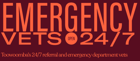 Toowoomba Vet | REDvets | 24/7 Emergency Vets Toowoomba Vet | REDvets | 24/7 Emergency Vets