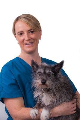 Dr Ellie Leister | Veterinary Emergency and Critical Care | VSS