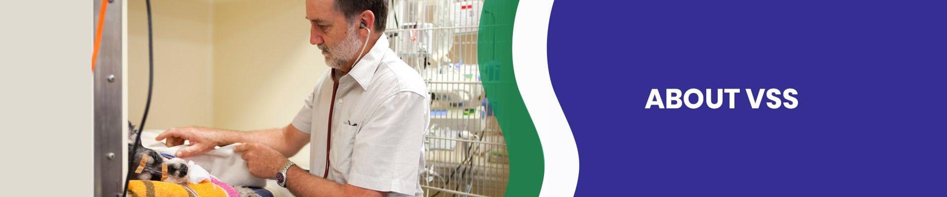 VSS | Veterinary Specialist Service | Vet Specialist team VSS | Veterinary Specialist Service | Vet Specialist team