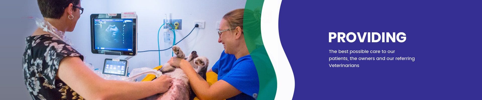VSS provides the best possible care to our patients, owners and referring vets VSS provides the best possible care to our patients, owners and referring vets