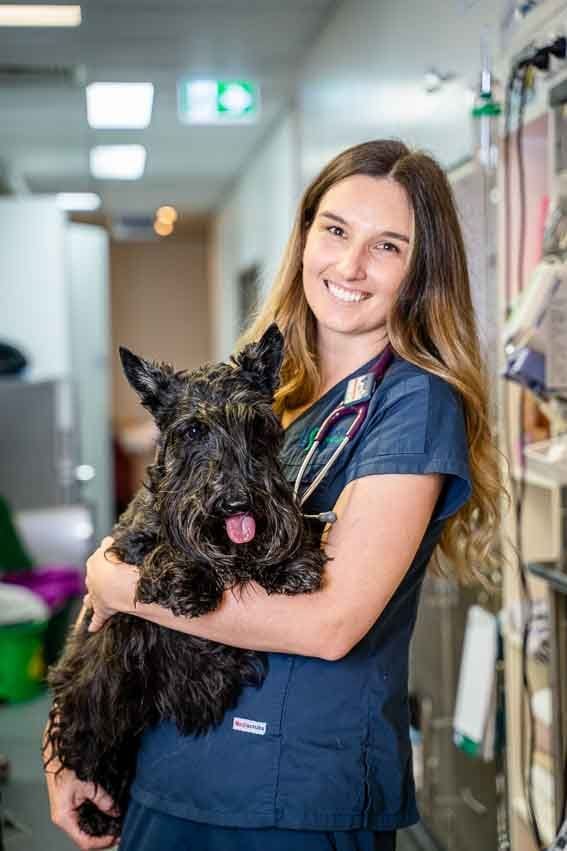 Sascha Pilz | Small Animal Internal Medicine | Veterinary Specialist Services
