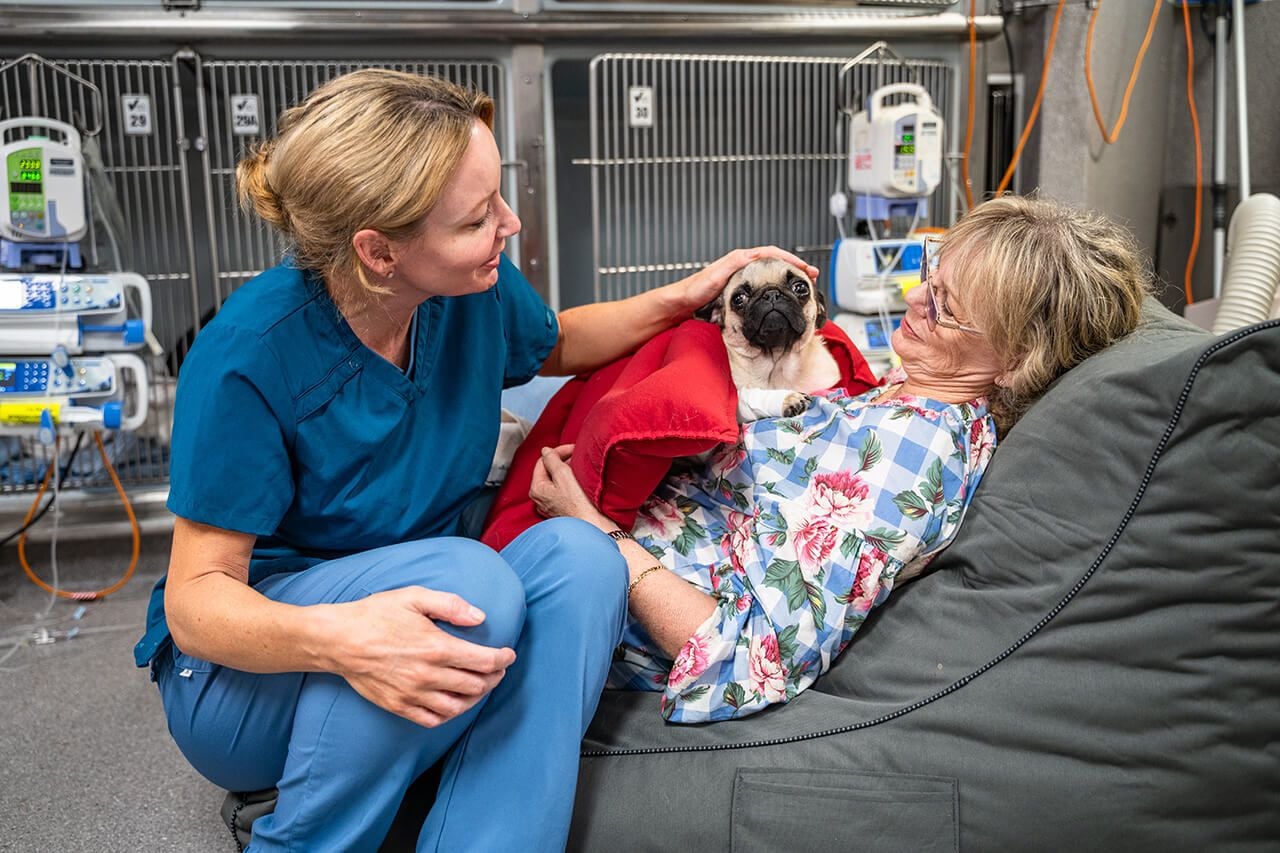 Owner Assisted Recovery Owner Assisted Recovery