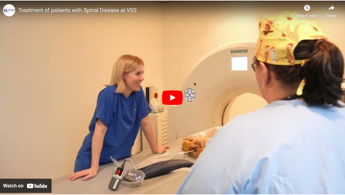 Spinal Disease Patient Treatment at VSS