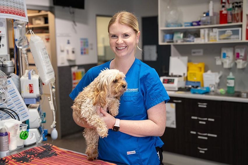 How to Refer an Emergency Case to VSS