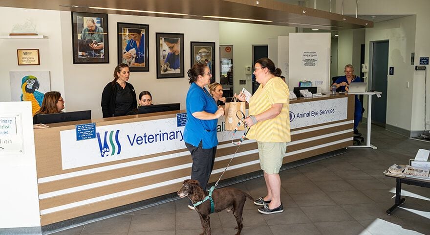 Costs, Insurance And Paymen