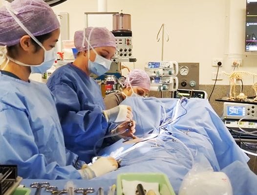 Laparoscopic Surgery